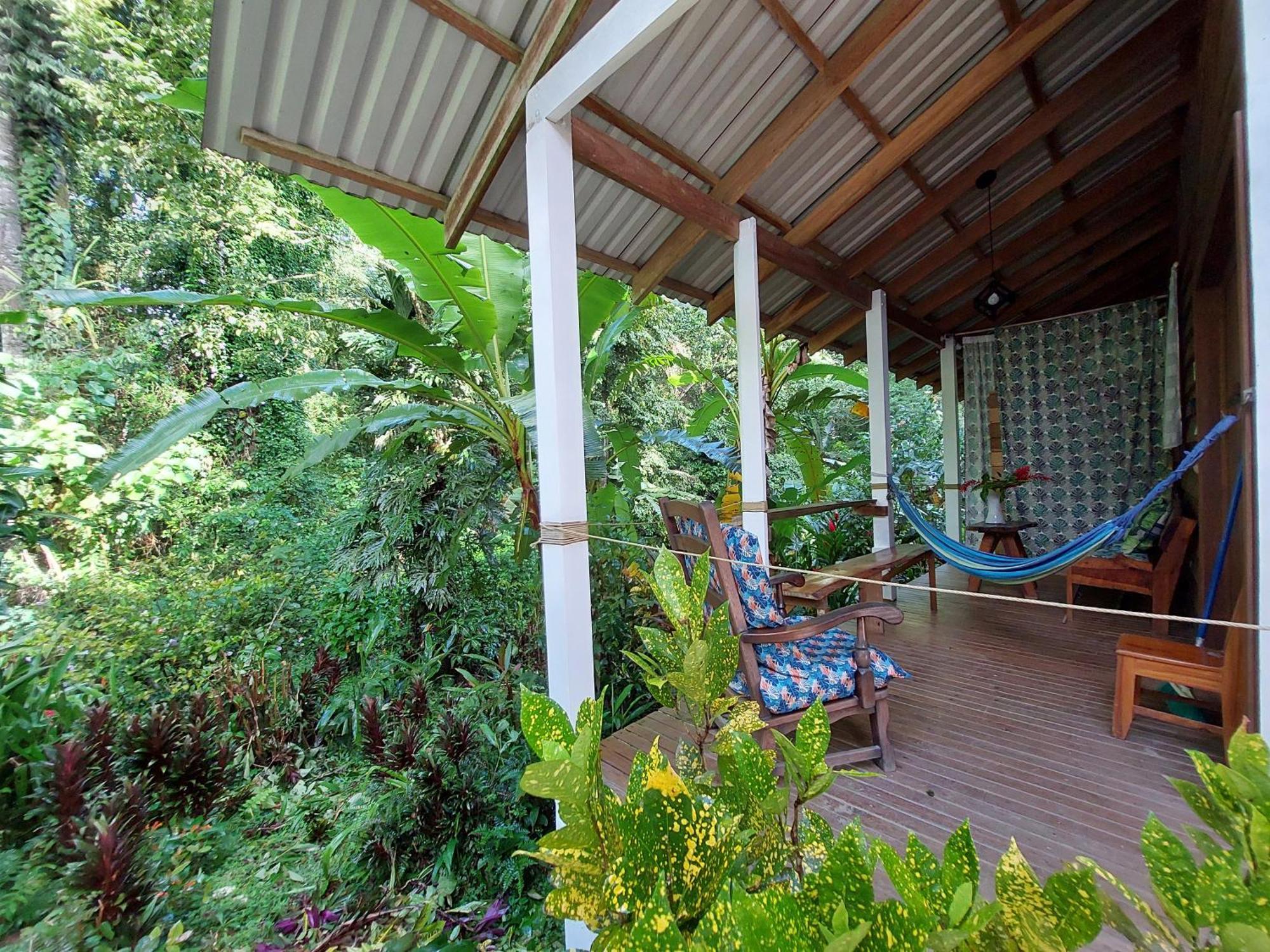 Casa Lina Sloth View Exotic Apartment With Privat Kitchen Puerto Viejo de Talamanca Экстерьер фото
