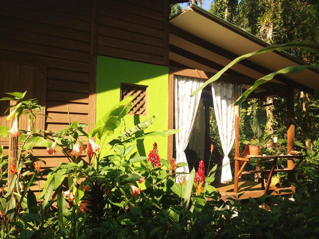Casa Lina Sloth View Exotic Apartment With Privat Kitchen Puerto Viejo de Talamanca Экстерьер фото