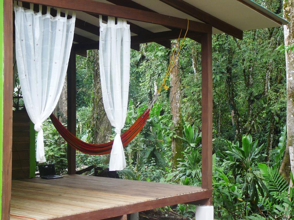 Casa Lina Sloth View Exotic Apartment With Privat Kitchen Puerto Viejo de Talamanca Номер фото
