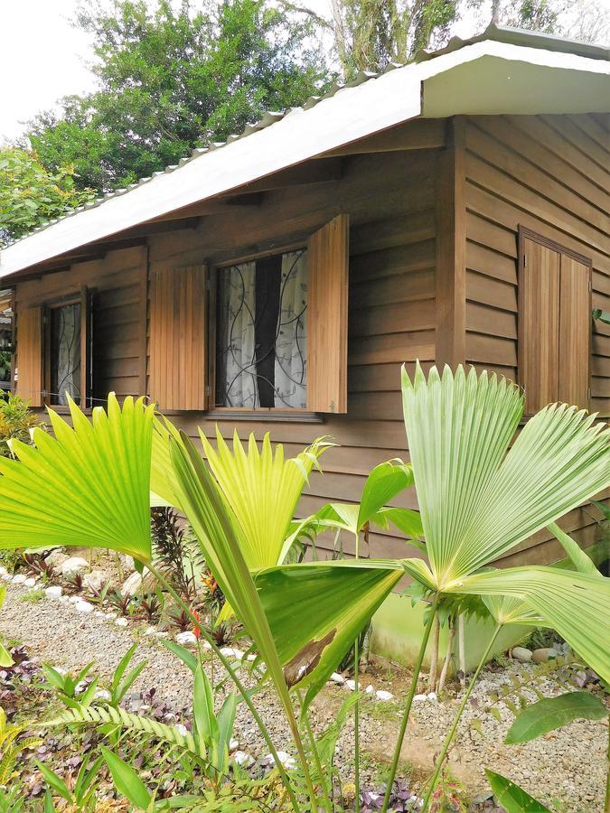 Casa Lina Sloth View Exotic Apartment With Privat Kitchen Puerto Viejo de Talamanca Экстерьер фото